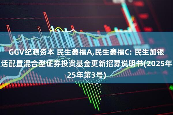 GGV纪源资本 民生鑫福A,民生鑫福C: 民生加银鑫福灵活配置混合型证券投资基金更新招募说明书(2025年第3号)