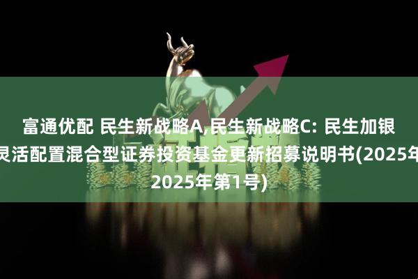 富通优配 民生新战略A,民生新战略C: 民生加银新战略灵活配置混合型证券投资基金更新招募说明书(2025年第1号)