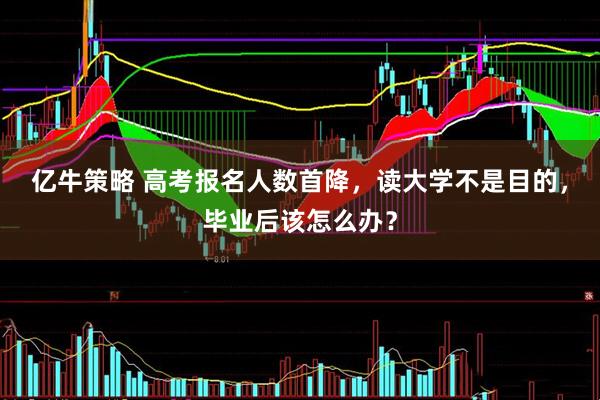 亿牛策略 高考报名人数首降，读大学不是目的，毕业后该怎么办？