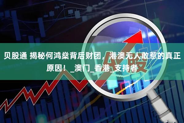 贝股通 揭秘何鸿燊背后财团，港澳无人敢惹的真正原因！_澳门_香港_支持者