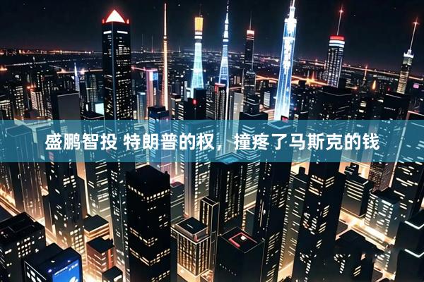 盛鹏智投 特朗普的权，撞疼了马斯克的钱
