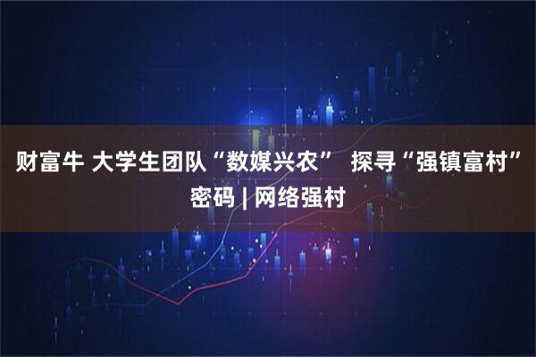财富牛 大学生团队“数媒兴农”  探寻“强镇富村”密码 | 网络强村