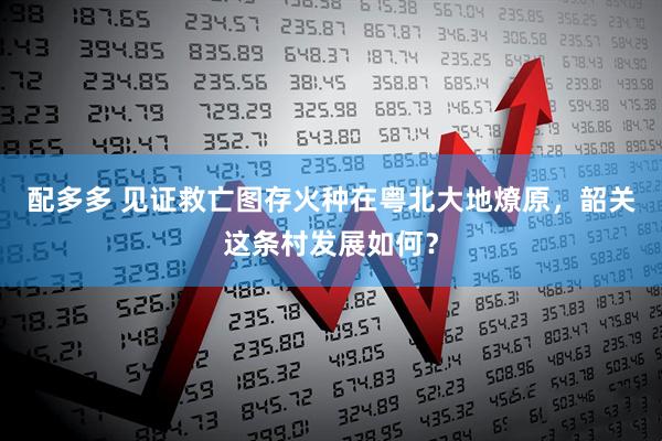 配多多 见证救亡图存火种在粤北大地燎原，韶关这条村发展如何？