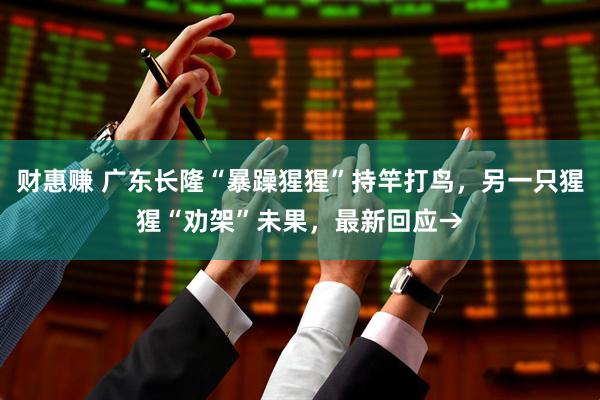财惠赚 广东长隆“暴躁猩猩”持竿打鸟，另一只猩猩“劝架”未果，最新回应→