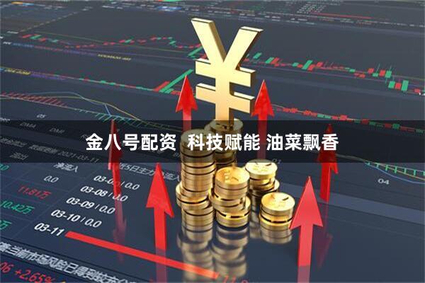 金八号配资  科技赋能 油菜飘香