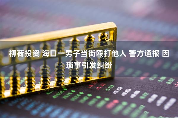 柳荷投资 海口一男子当街殴打他人 警方通报 因琐事引发纠纷