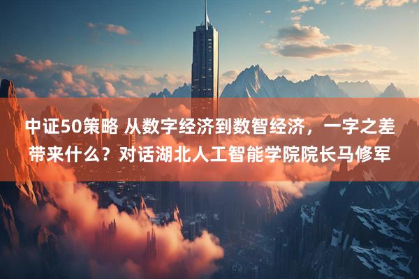 中证50策略 从数字经济到数智经济，一字之差带来什么？对话湖北人工智能学院院长马修军