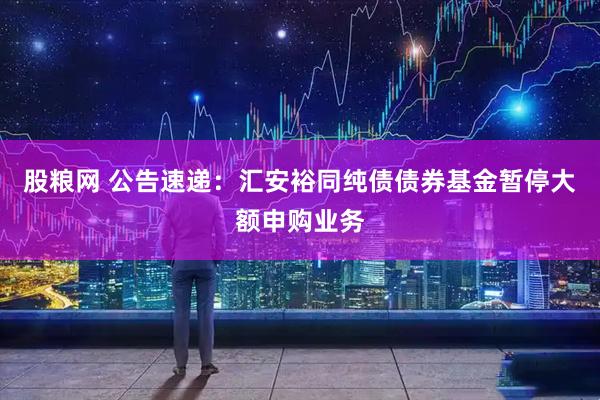 股粮网 公告速递：汇安裕同纯债债券基金暂停大额申购业务