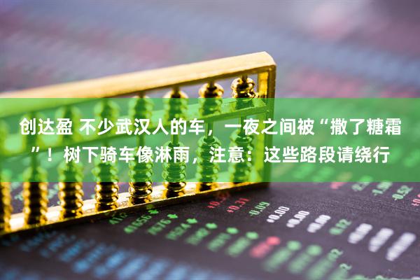 创达盈 不少武汉人的车，一夜之间被“撒了糖霜”！树下骑车像淋雨，注意：这些路段请绕行