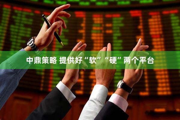 中鼎策略 提供好“软”“硬”两个平台